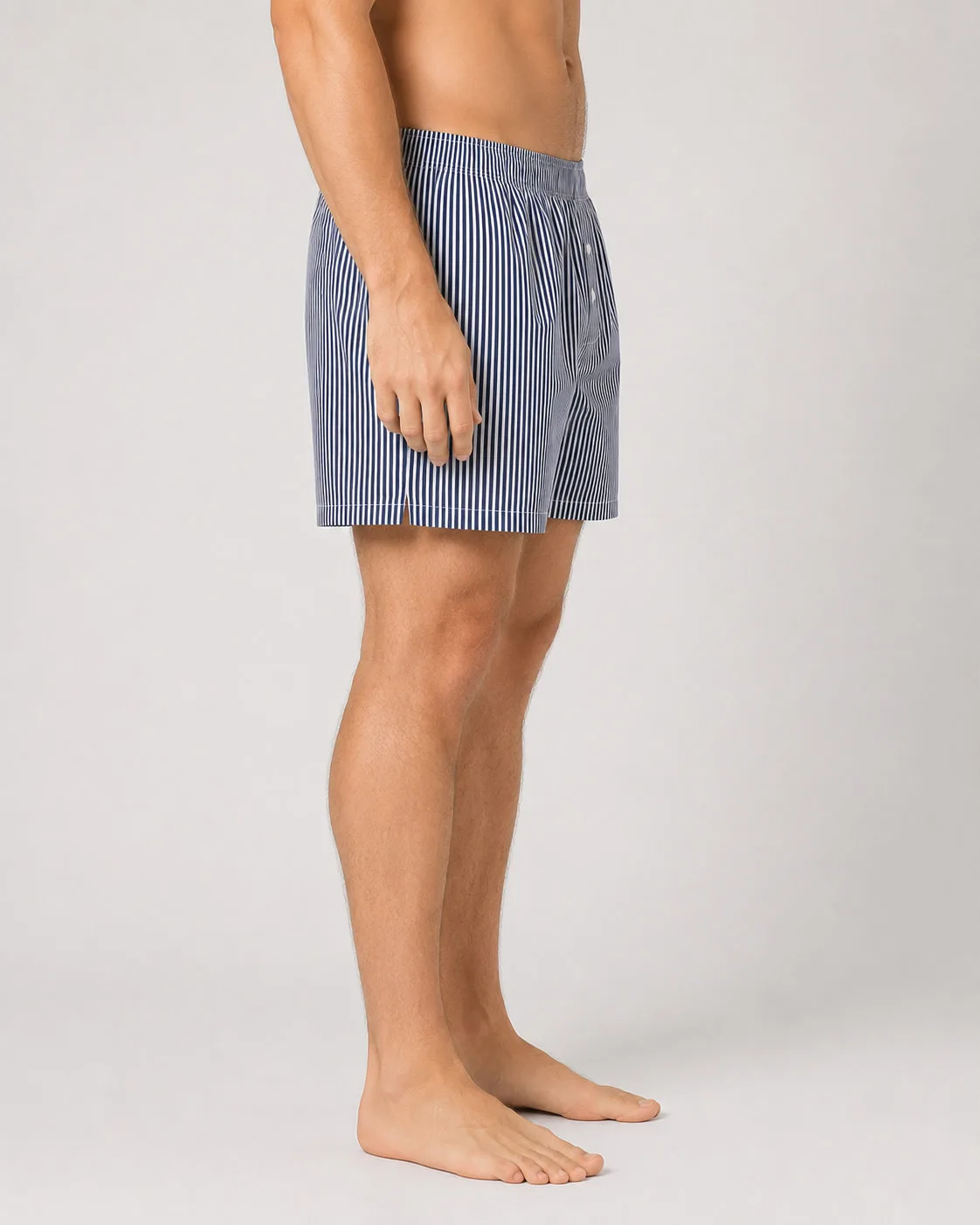 Blue Stripe Boxer - Image 5